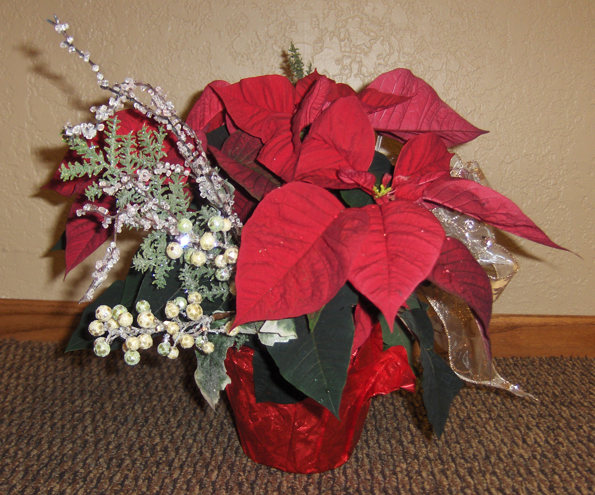 Flowers from Eric & Rhonda, and Erwin & Family