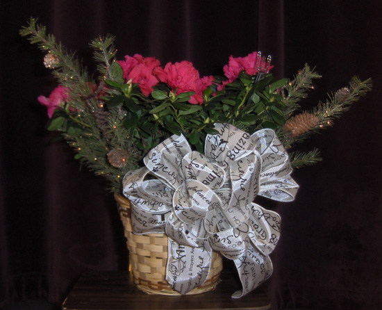 Flowers from Adam, Jodi, Bobbi, Jax and Kam, Julian & Coreen