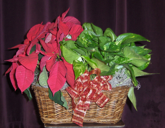 Flowers from Dorothy Connelley, Brad & Barb Gartner, Heather Tucker