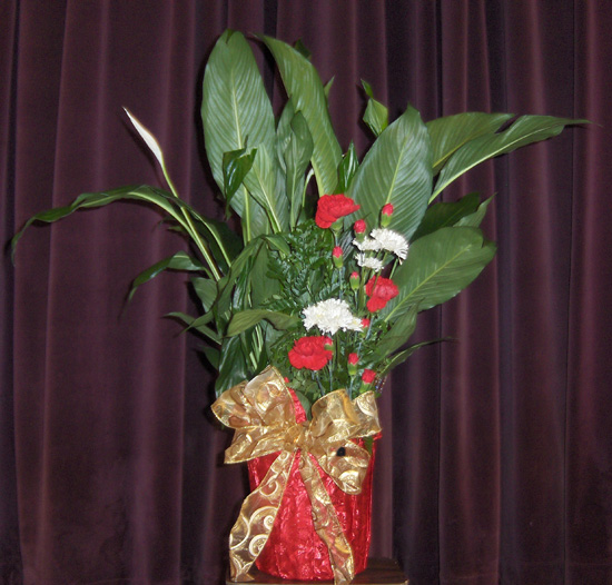 Flowers from Jem & Kelly Kjerstad and Family