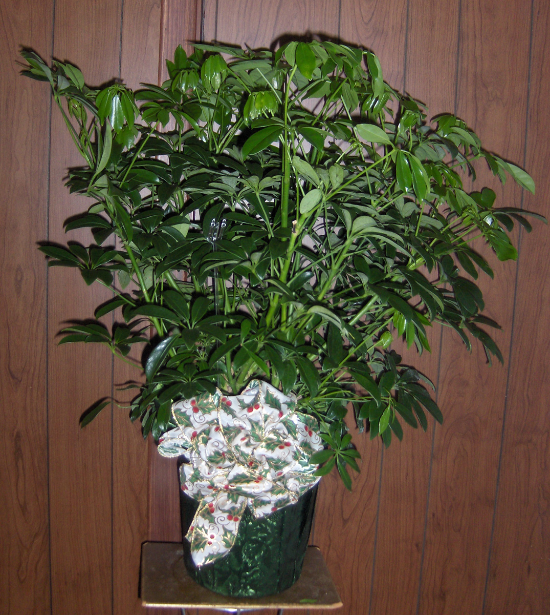 Flowers from Avera Heart Hospital