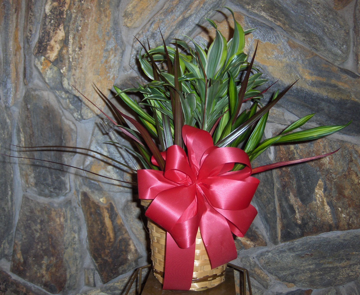 Flowers from Don and Betty Hoff
