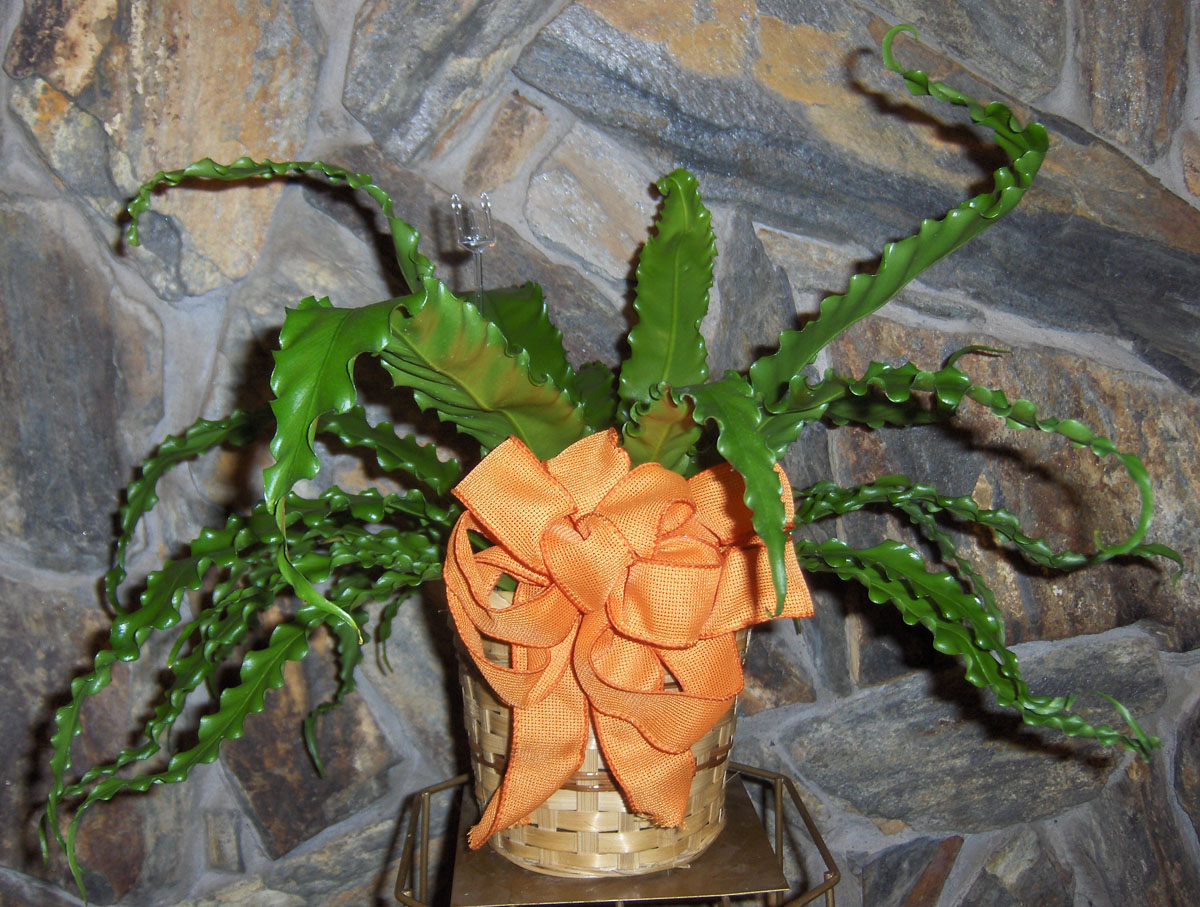 Flowers from Garland & Kathy Kampfe and Dena & Ted Hunt