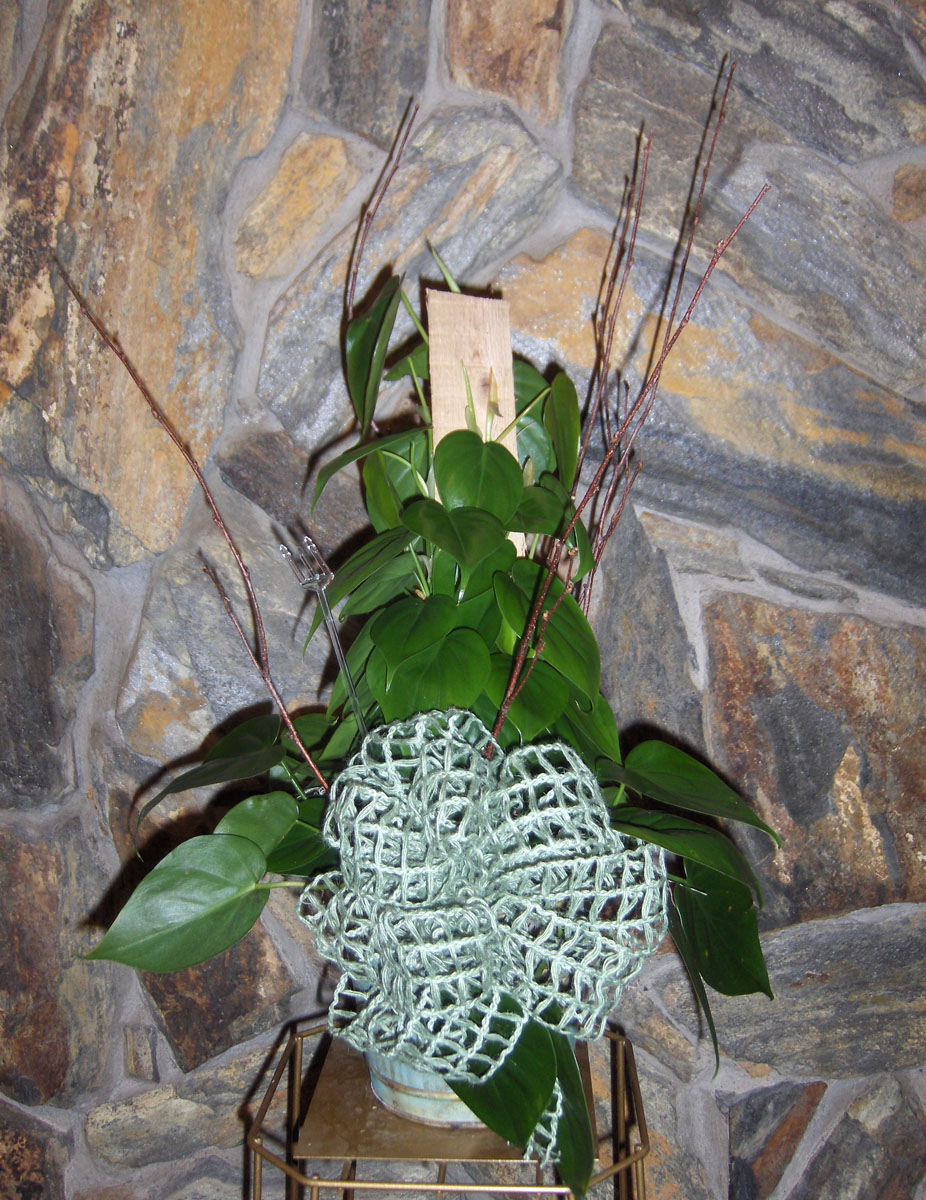 Flowers from Judy Wilson