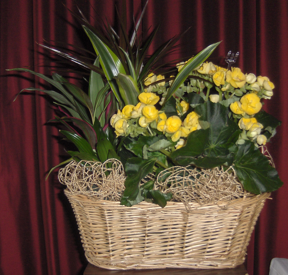 Flowers from Your Friends at Sioux National