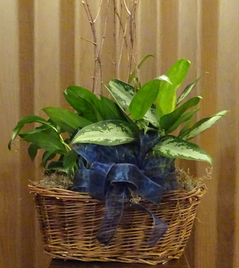 Flowers from Helena Chemical Company