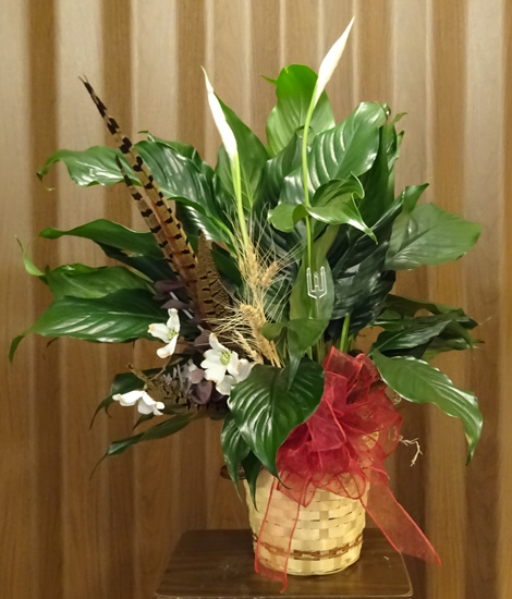 Flowers from Philip Health Services TLC