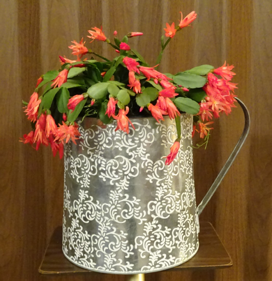 Flowers from Arthur & Tanya McIlravy