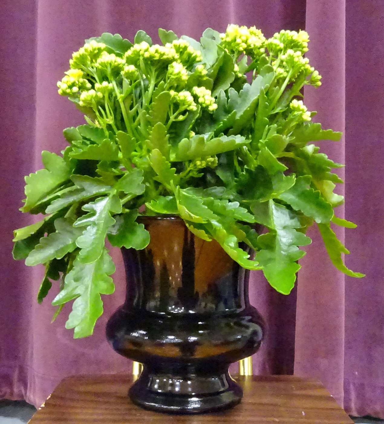Flowers from The Wrestling Club