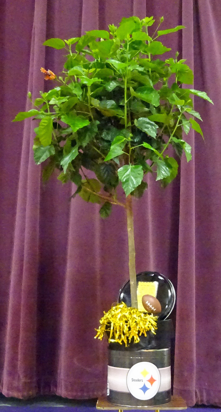 Flowers from Sauntee, Heidi, Jerica, Jadyn, Jyntre, and Jyrzee, Rusty & Laure, and Jaisa Snyder