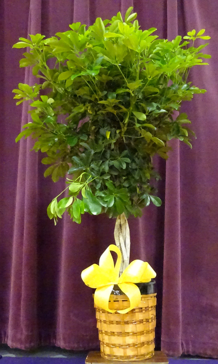 Flowers from Irwin & Patsy Ferguson, Beth, Cheryl, Debbie, and Julie & Families
