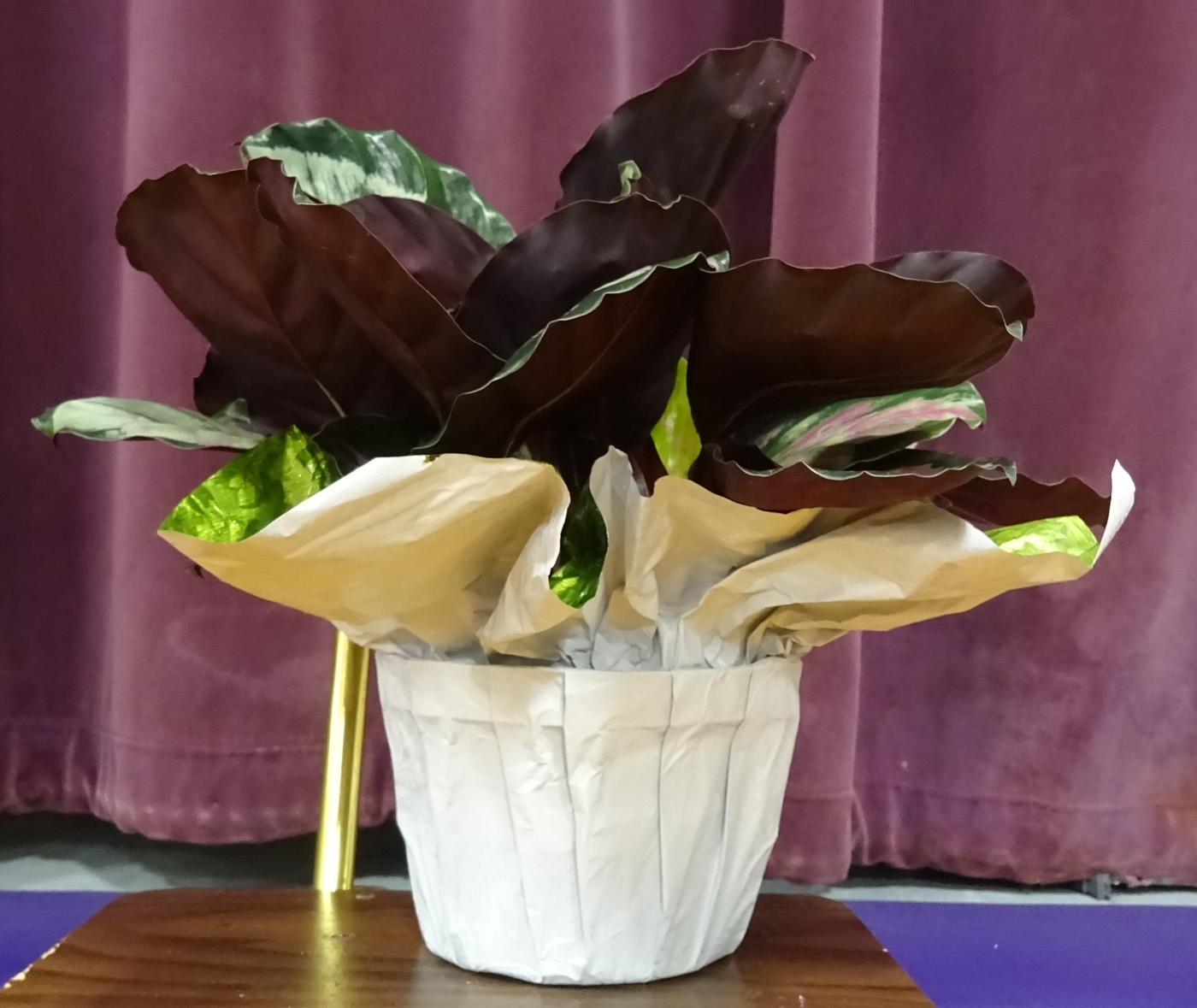 Flowers from Susan Kary Family