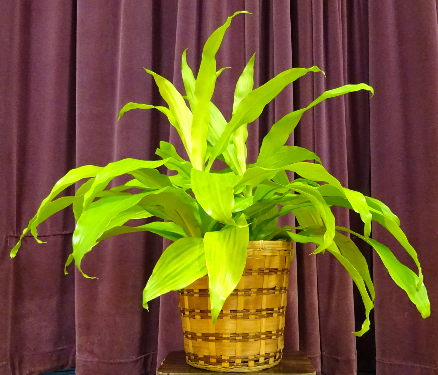 Flowers from Kadoka School Board & Staff