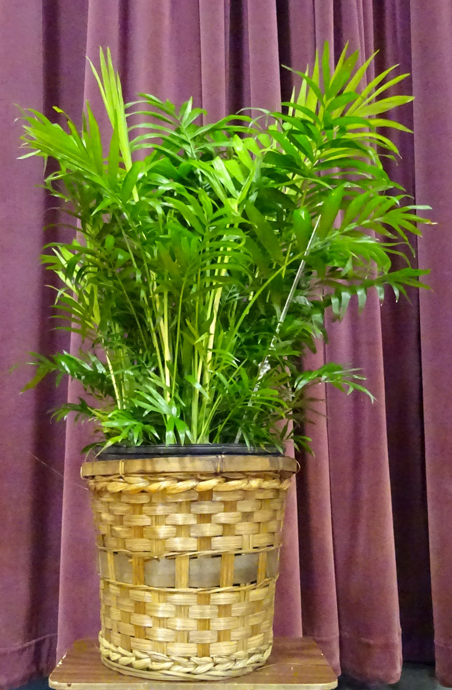 Flowers from Class of 1991