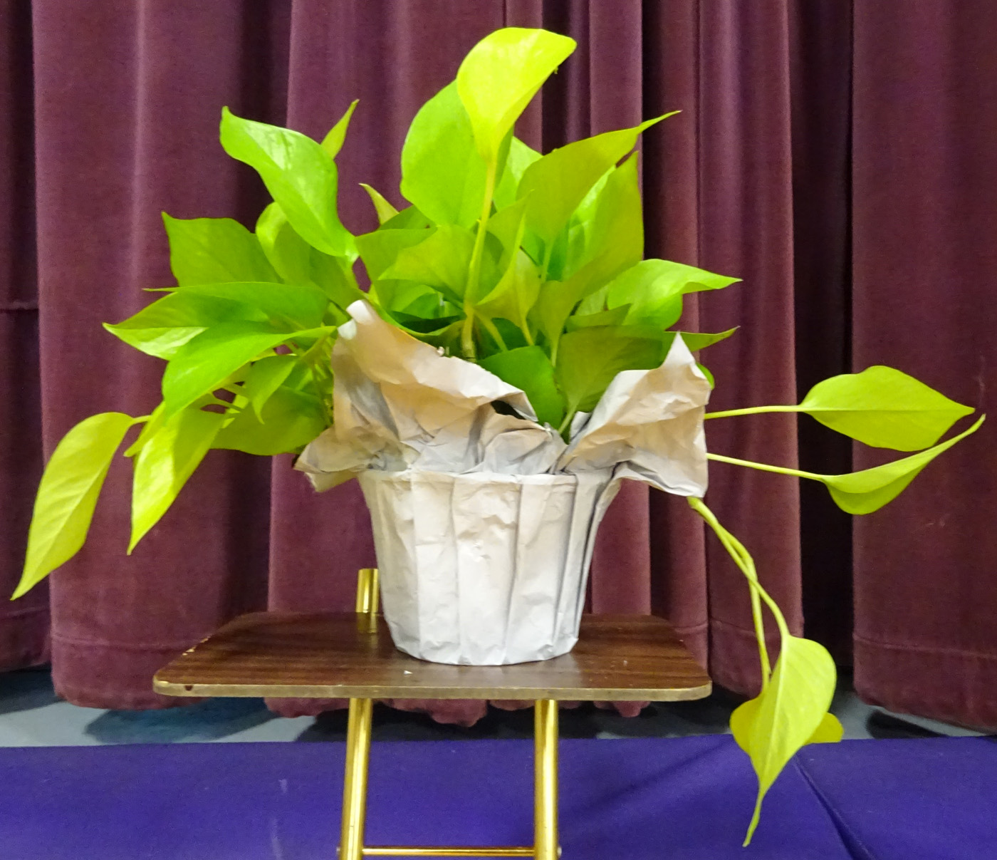 Flowers from Ed & Kathy Kary and Family