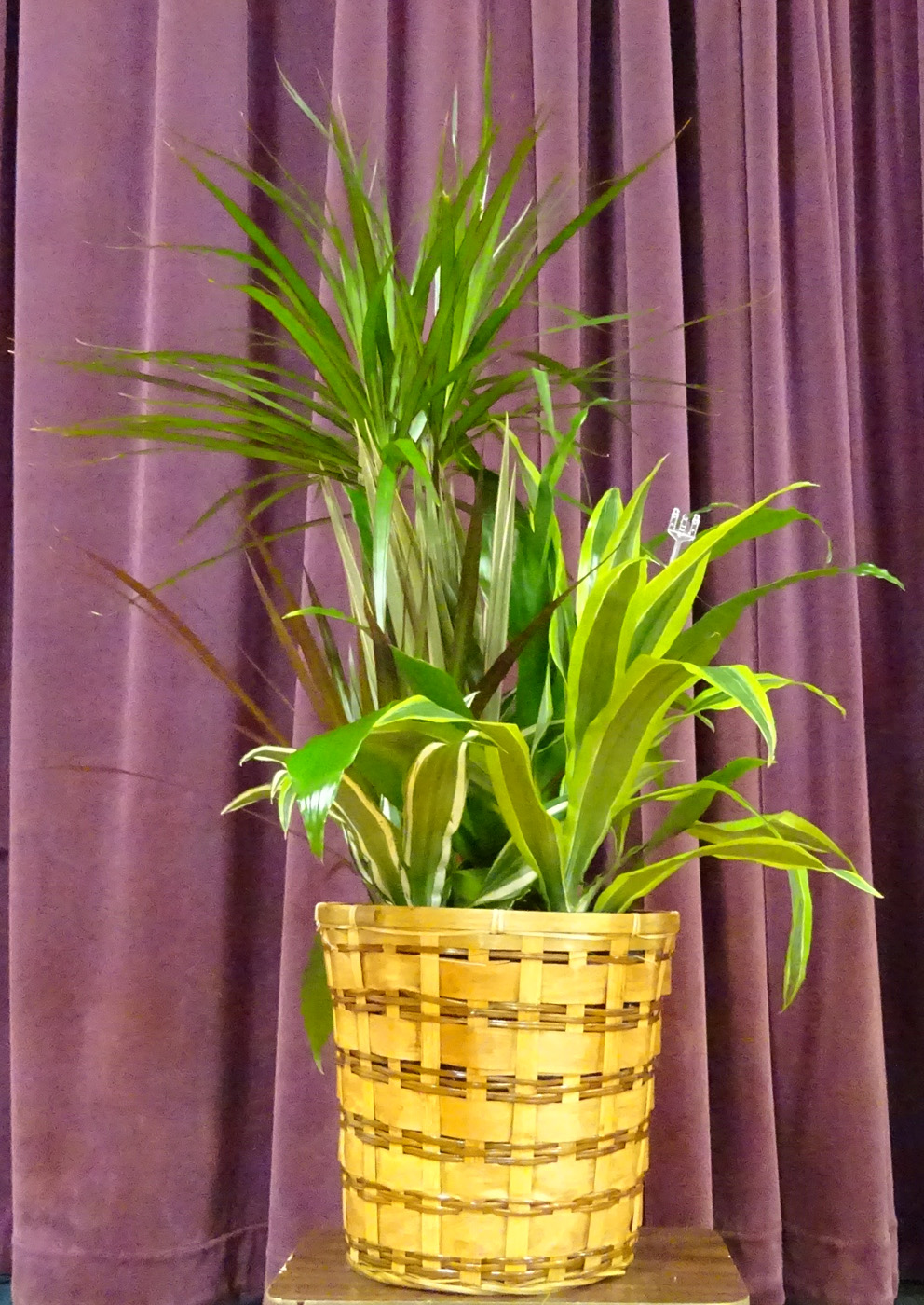 Flowers from The Mayor City Council Employees and City of Kadoka