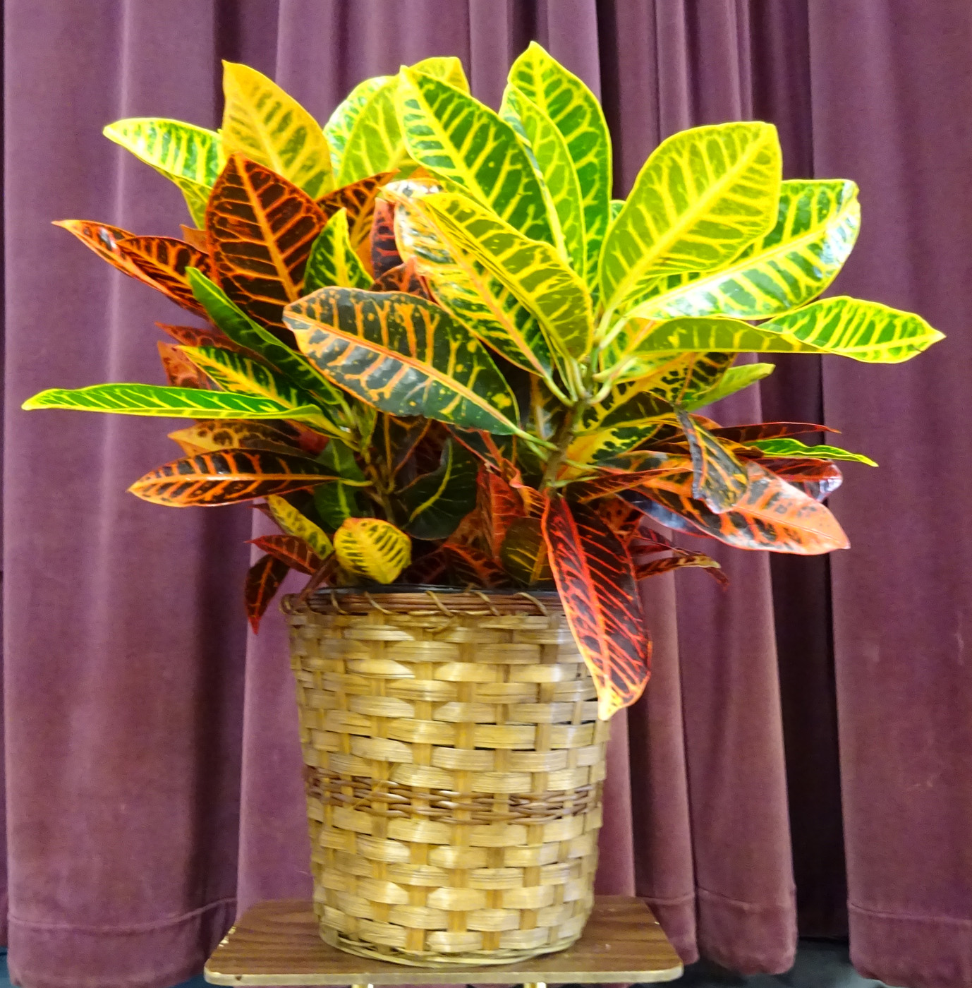 Flowers from S.D. Emergency Management Association