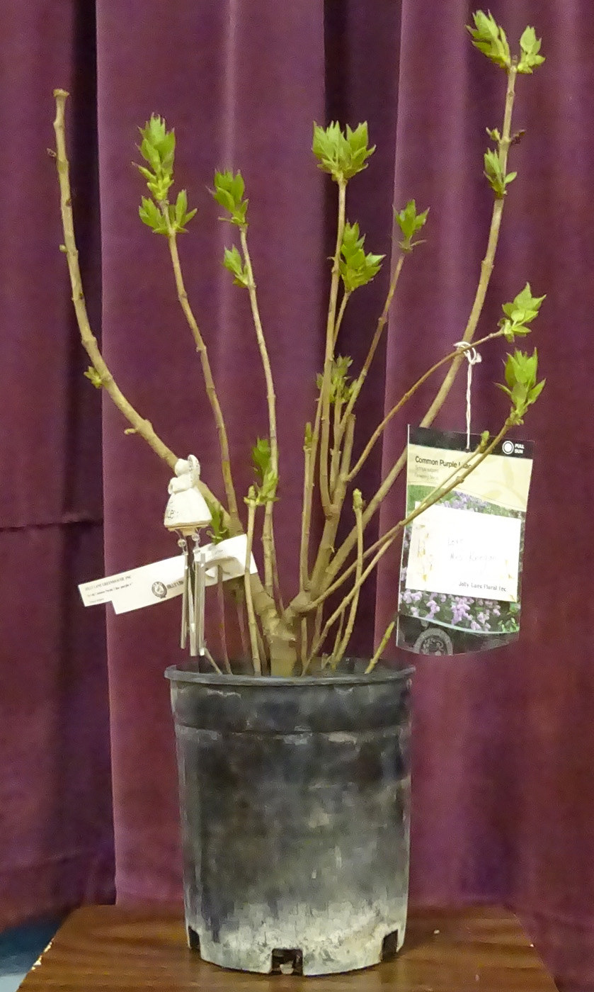 Flowers from Mrs. Keegan