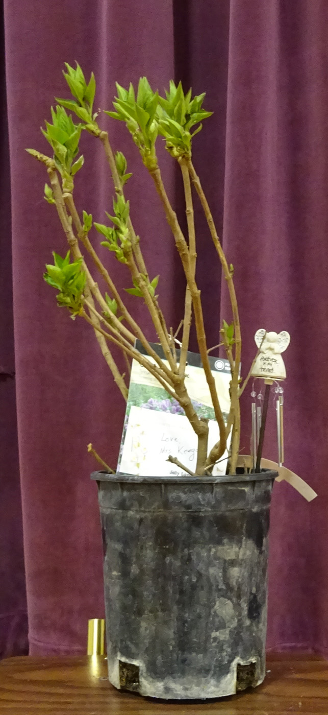 Flowers from Mrs. Keegan