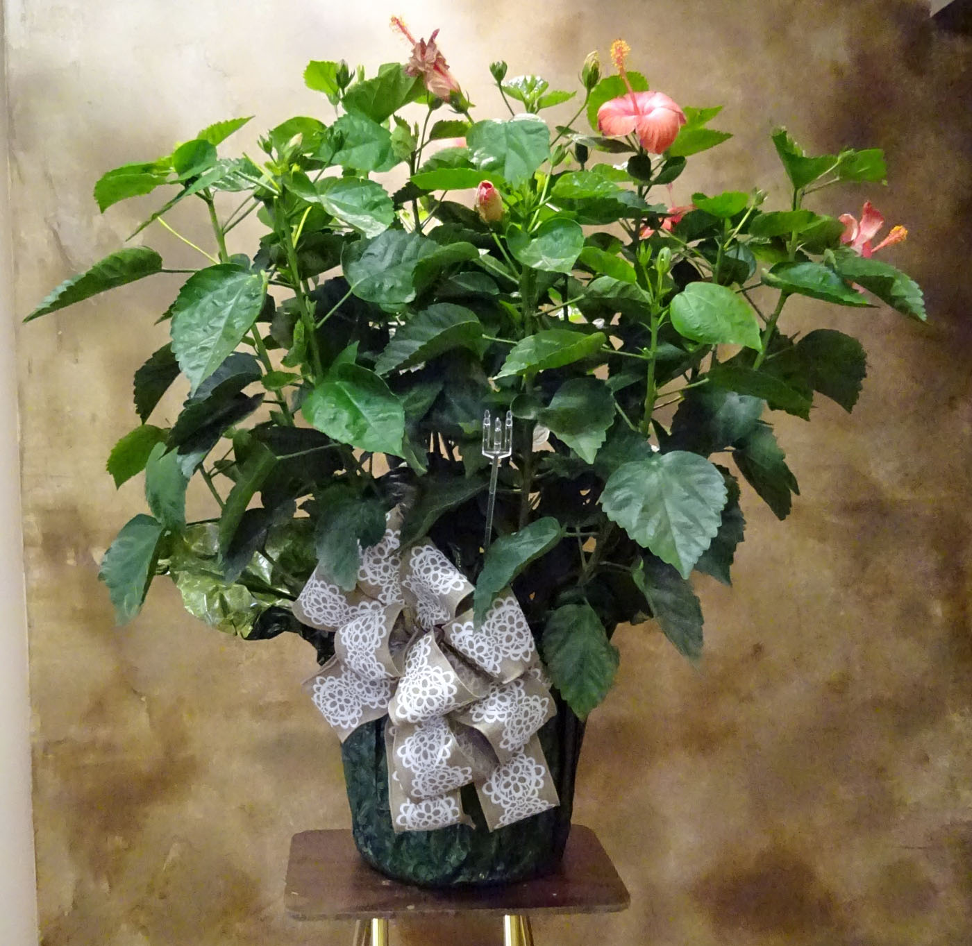 Flowers from Amarillo Airport Staff