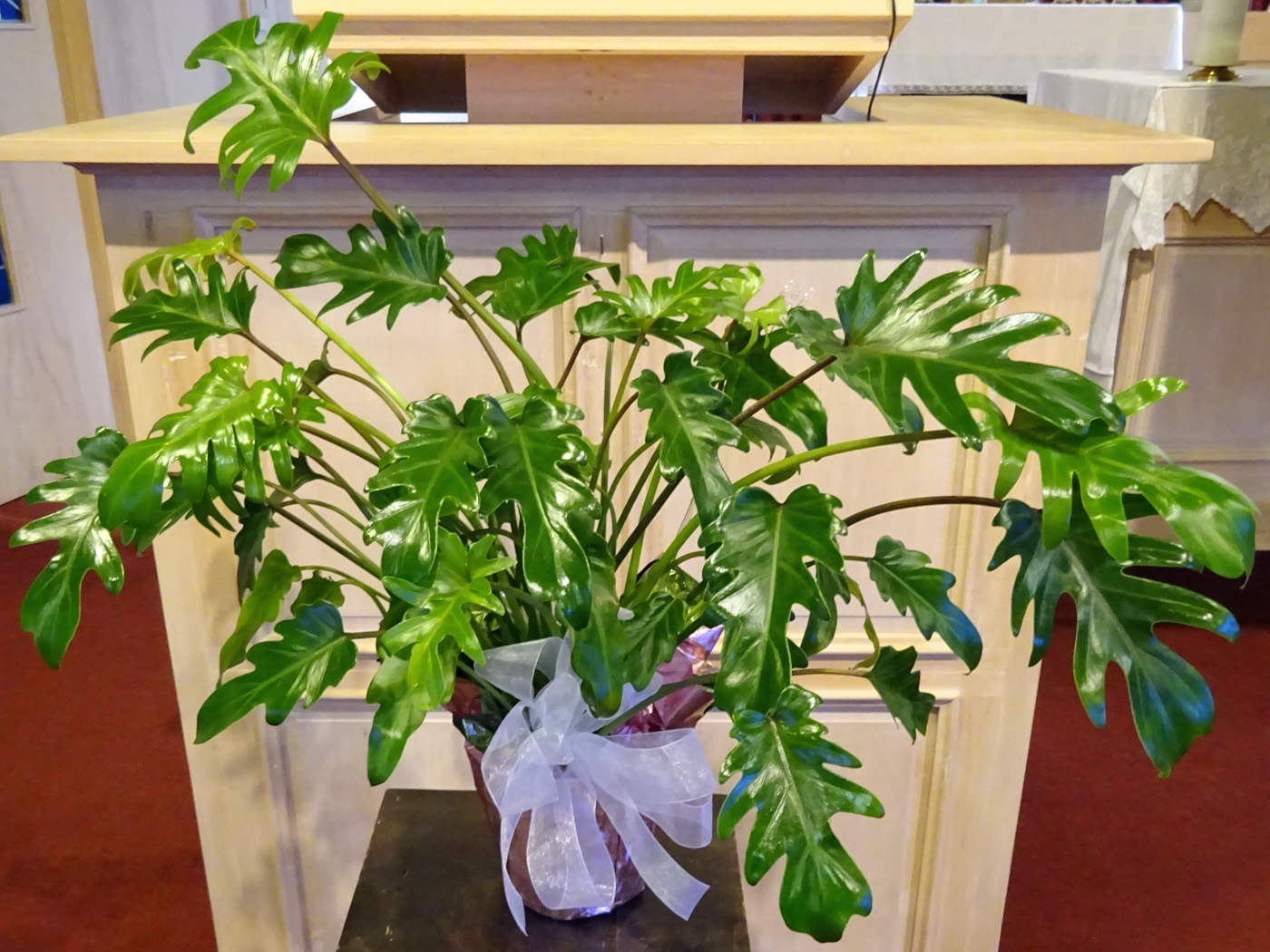 Flowers from Kadoka Area School Board, Staff, and Administration