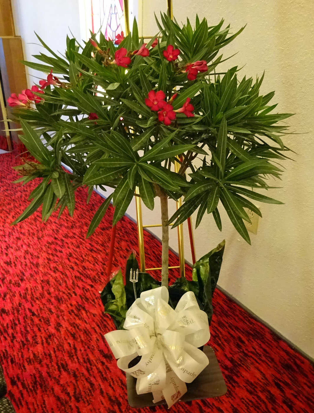 Flowers from Karl & Nancy Schenk and Family