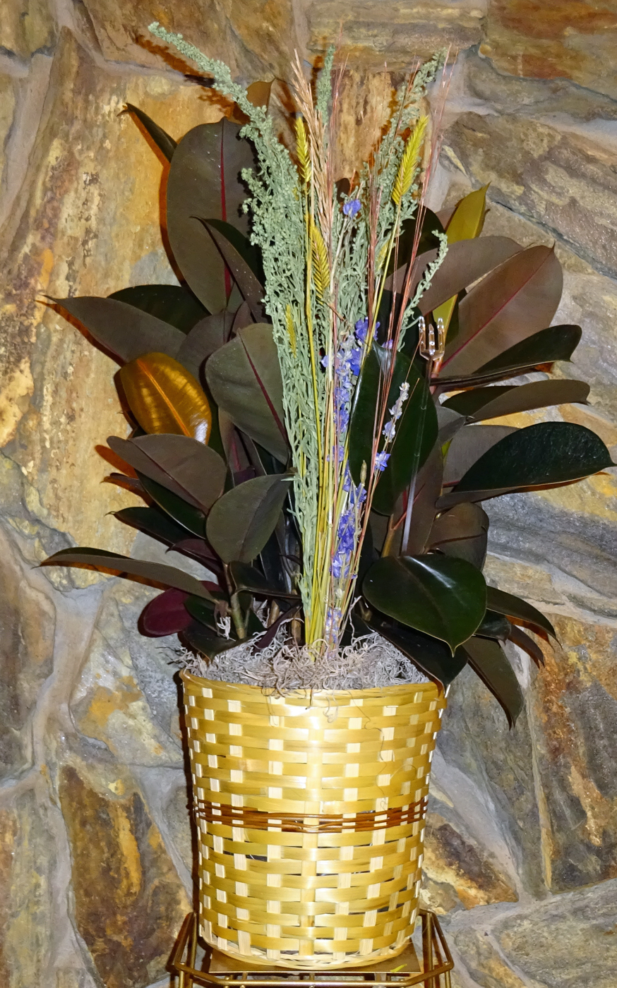 Flowers from Les and Marilyn Wulf & Family and Bob and Vonna Johnson & Family