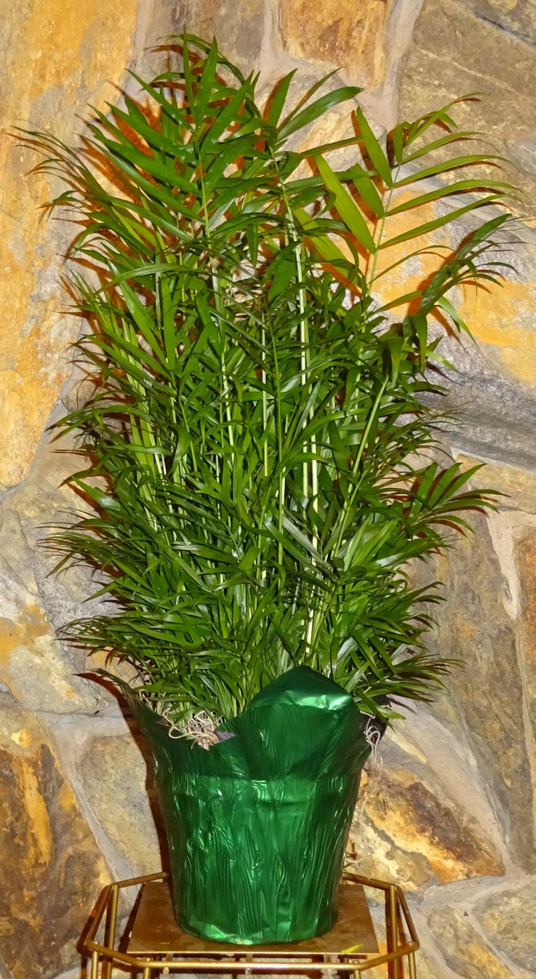 Flowers from Missouri Valley Mutual Insurance Company