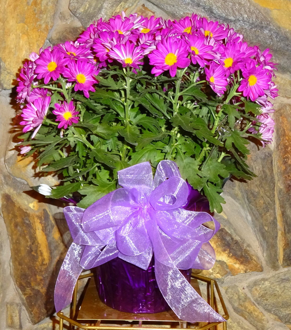 Flowers from Dakota Country Pharmacy