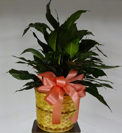 Flowers from Philip Fire Department