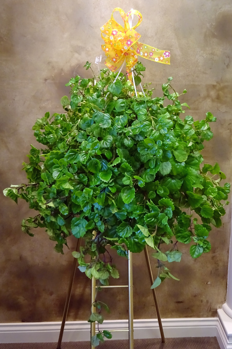 Flowers from Shaun, Sophie, and Sherrie