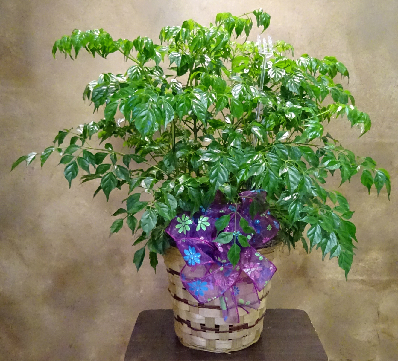 Flowers from Stulken, Petersen, Lingle, Walti, & Jones, LLP