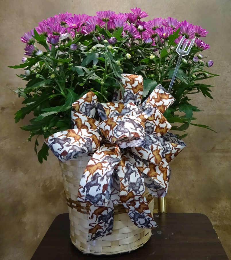 Flowers from Dakota Country Pharmacy