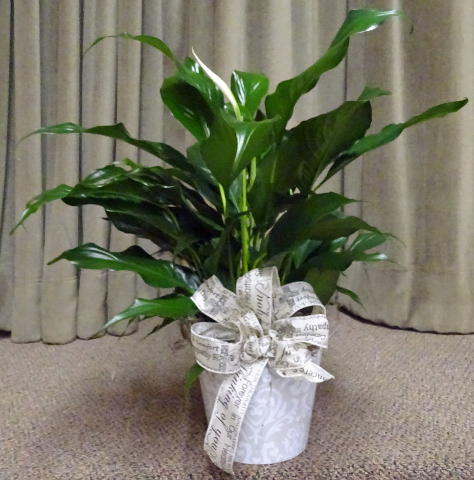 Flowers from Stulken, Petersen, Lingle, Walti, and Jones LLP