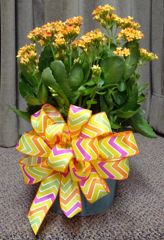 Flowers from Dakota Country Pharmacy
