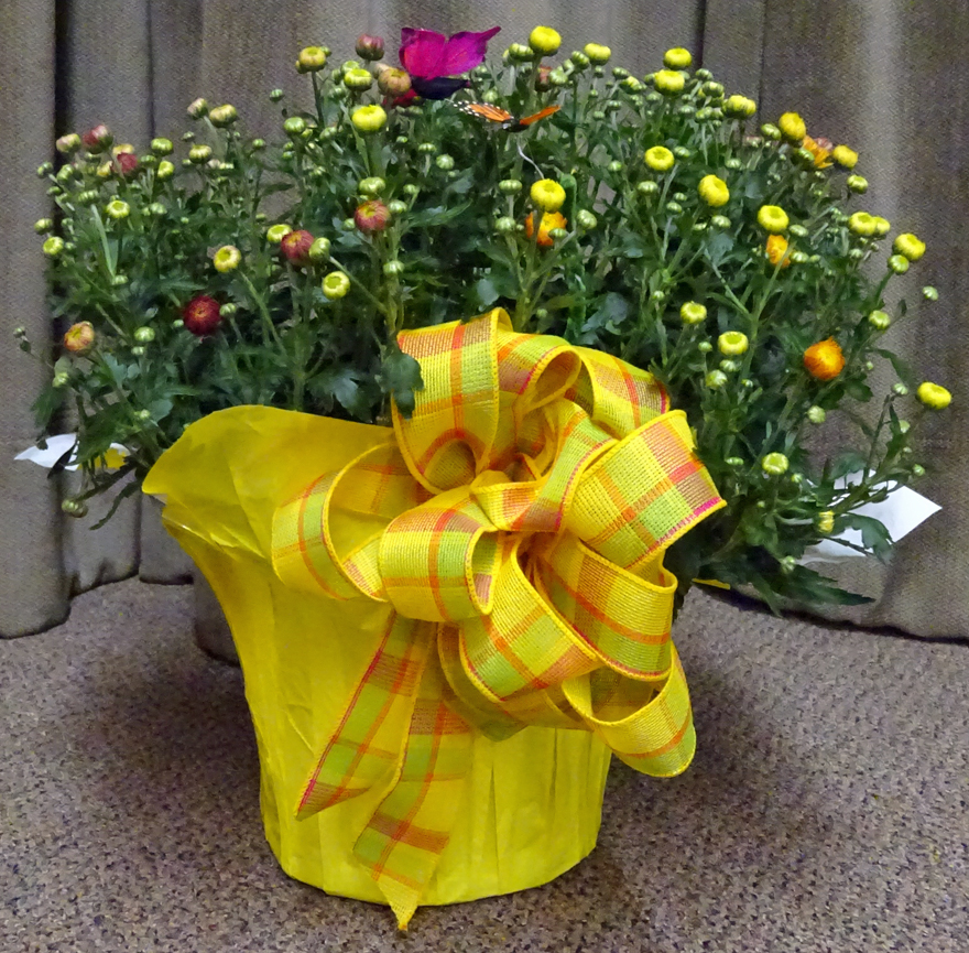 Flowers from The Ozanne Family