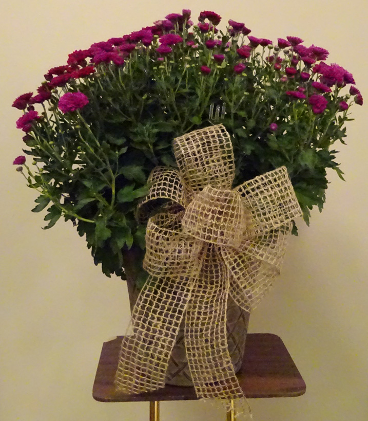 Flowers from Bill Lyle