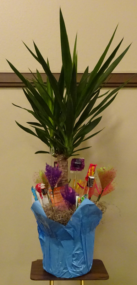 Flowers from Riggins - 1st Grade Class