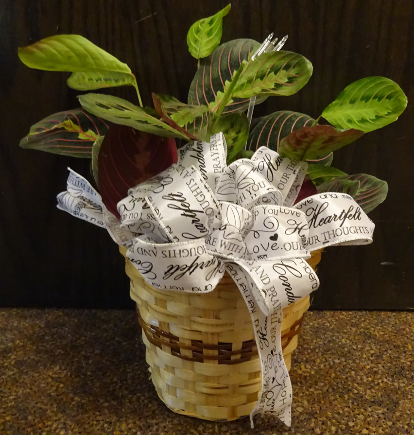 Flowers from Lance Eberly and Family