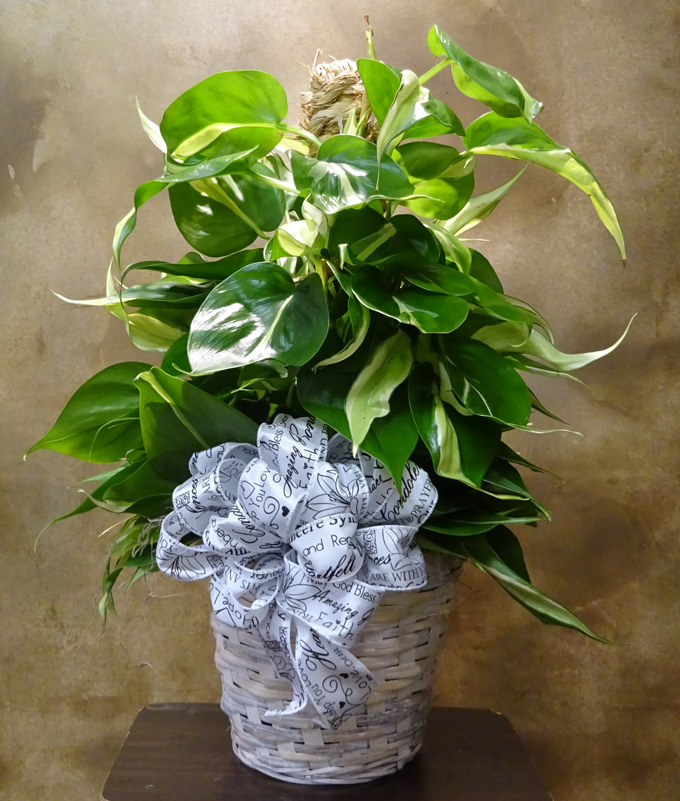 Flowers from The Cowboy Corner - Sue Leach Family and Bill Sliwoski