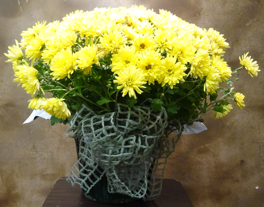 Flowers from Dakota Country Pharmacy