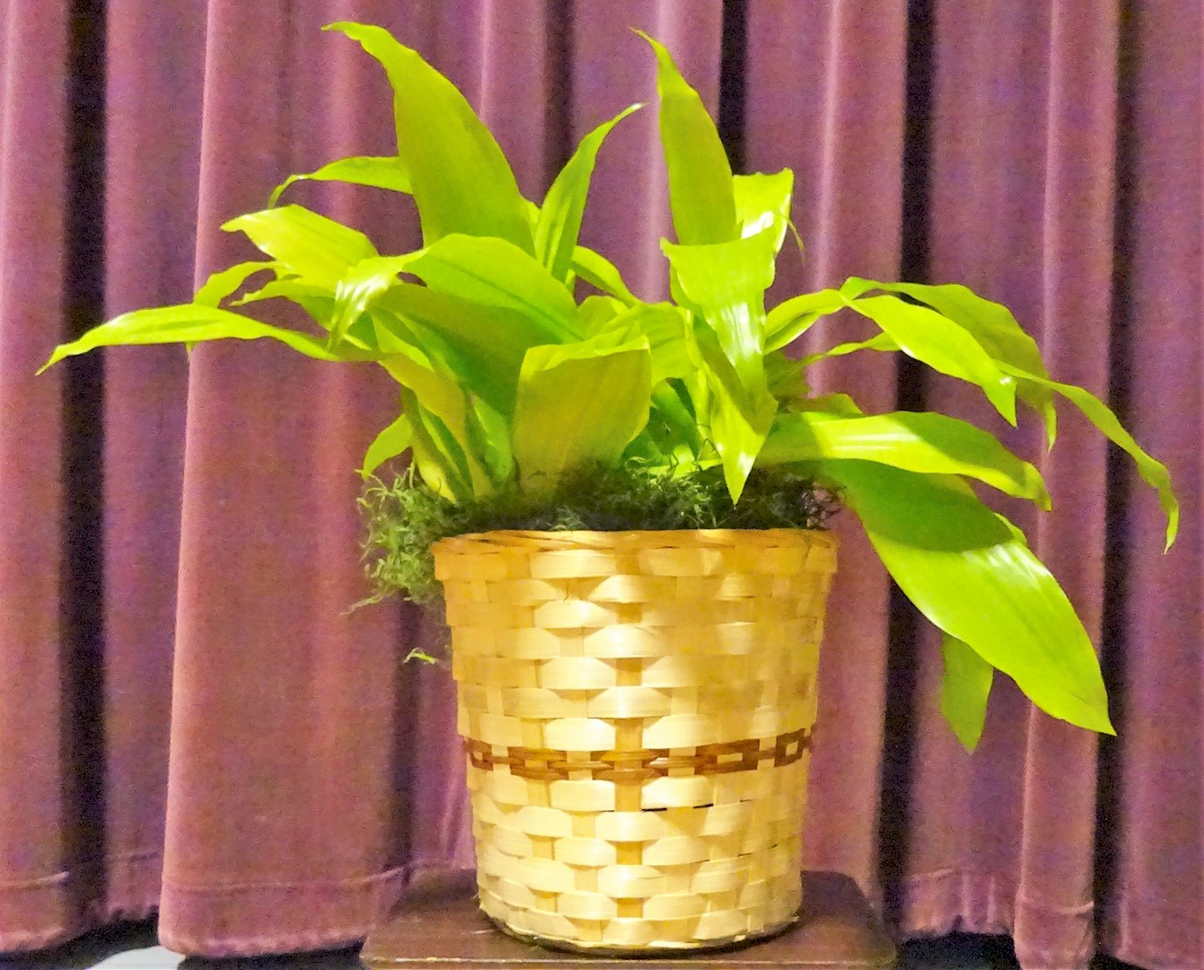 Flowers from Haakon County Courthouse Employees