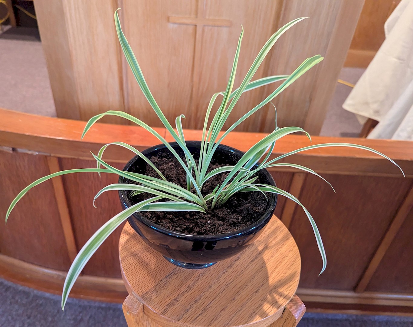 Flowers from LyRanda, Ty, Dylan, and Ryan