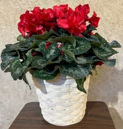 Flowers from Dakota Country Pharmacy