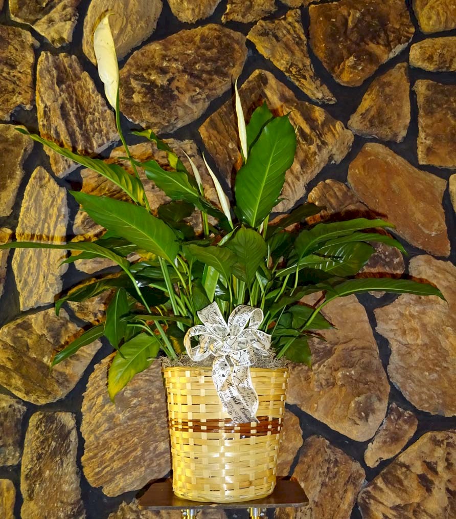 Flowers from Avera Heart Hospital of South Dakota