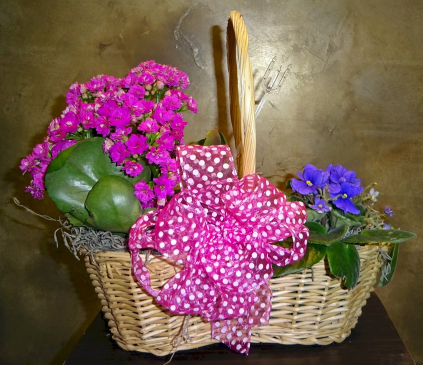 Flowers from Rick & Marlis Doud, Tia & Josh Johnson & Family, Lindsy & Chad Reagle, and Jared Doud