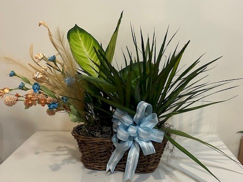 Flowers from Cousin Maxine and Family