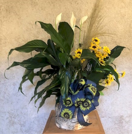 Flowers from Delores Olson; Kevin and Vicky Schroeder; and Jess and Ruth Olson