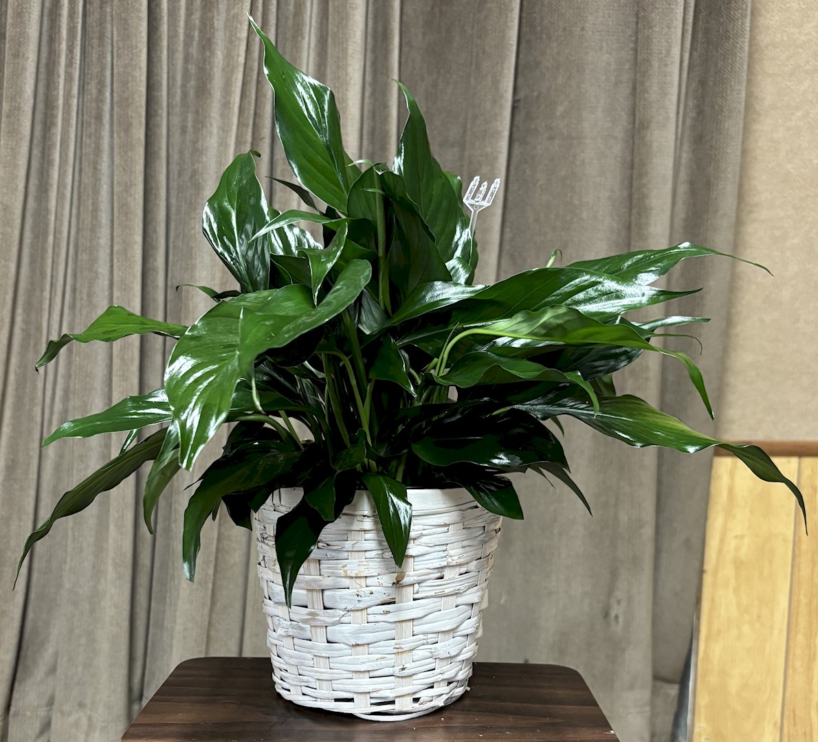 Flowers from Mayo Clinic