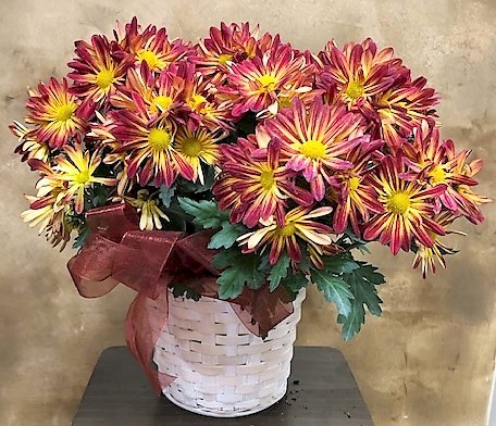 Flowers from Dakota Country Pharmacy